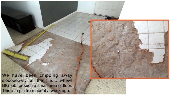 Tackling the Floor! (and....The Skunks Come Out at Night)